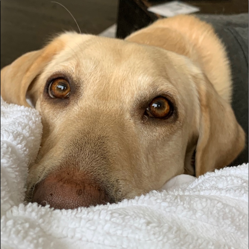 Meet your Posher, Chrissy